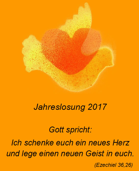 jahreslosung 17